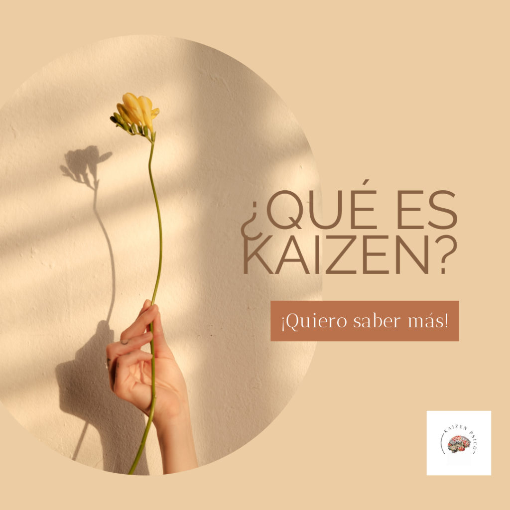 que es kaizen
